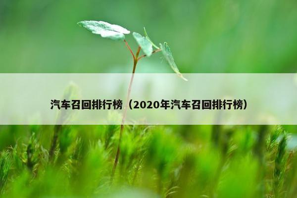 汽车召回排行榜（2020年汽车召回排行榜）