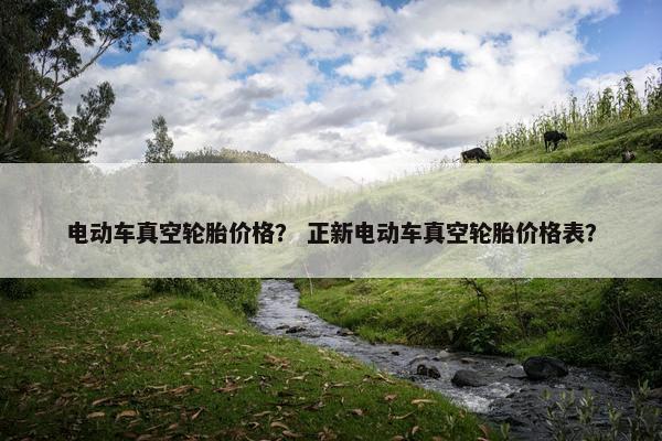 电动车真空轮胎价格？ 正新电动车真空轮胎价格表？