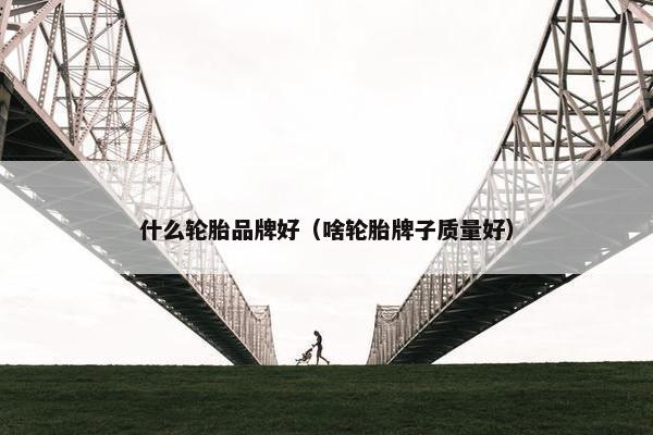 什么轮胎品牌好（啥轮胎牌子质量好）