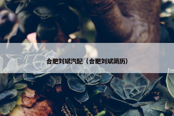 合肥刘斌汽配（合肥刘斌简历）