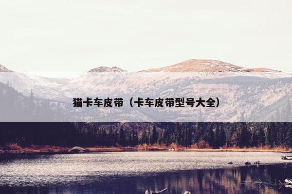 猫卡车皮带（卡车皮带型号大全）