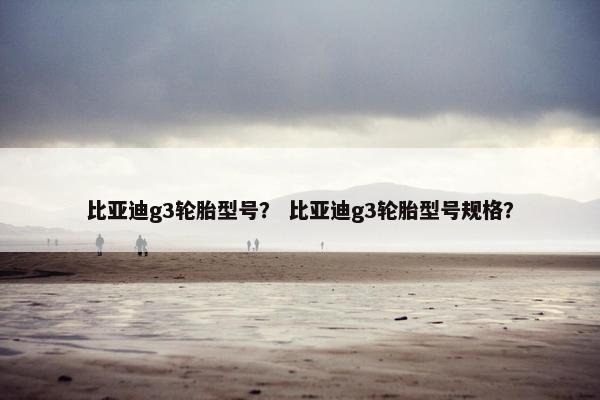 比亚迪g3轮胎型号？ 比亚迪g3轮胎型号规格？