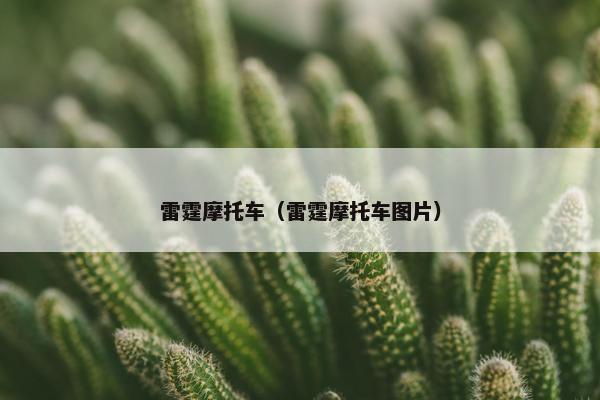 雷霆摩托车（雷霆摩托车图片）