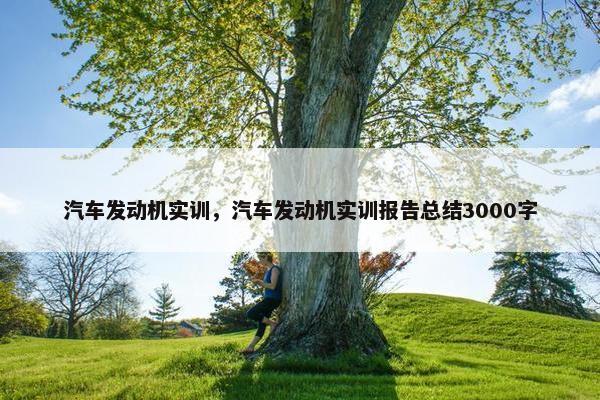 汽车发动机实训，汽车发动机实训报告总结3000字