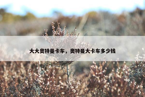 大大奥特曼卡车，奥特曼大卡车多少钱