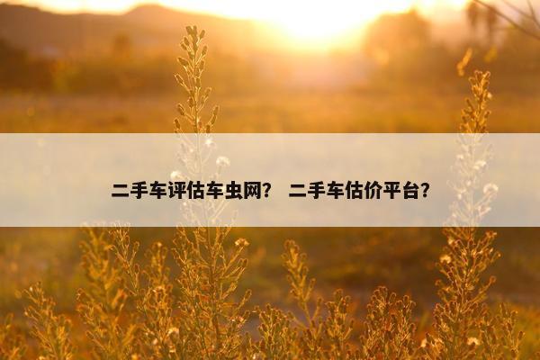 二手车评估车虫网？ 二手车估价平台？