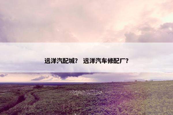 远洋汽配城？ 远洋汽车修配厂？