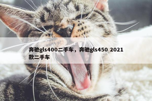 奔驰gls400二手车，奔驰gls450 2021款二手车