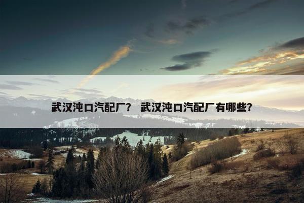 武汉沌口汽配厂？ 武汉沌口汽配厂有哪些？