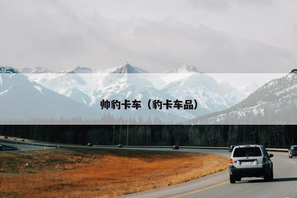 帅豹卡车（豹卡车品）