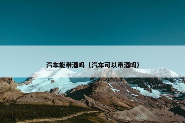 汽车能带酒吗（汽车可以带酒吗）