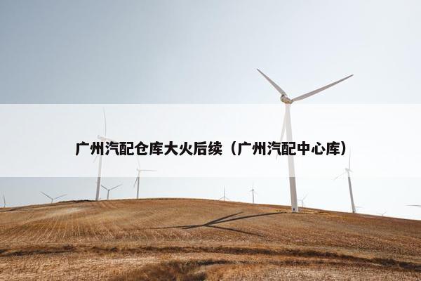 广州汽配仓库大火后续（广州汽配中心库）