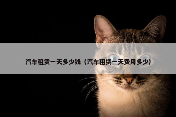 汽车租赁一天多少钱（汽车租赁一天费用多少）