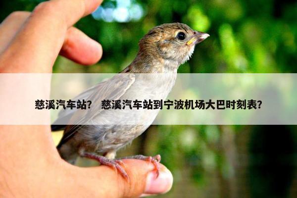 慈溪汽车站？ 慈溪汽车站到宁波机场大巴时刻表？