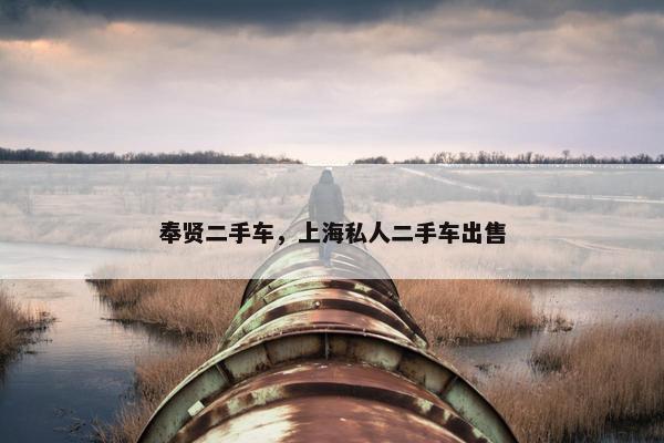 奉贤二手车，上海私人二手车出售