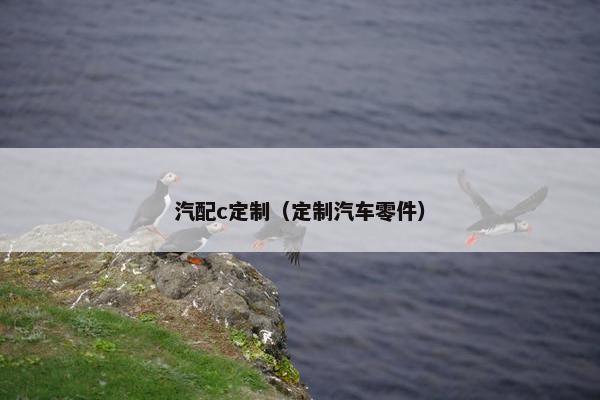 汽配c定制（定制汽车零件）