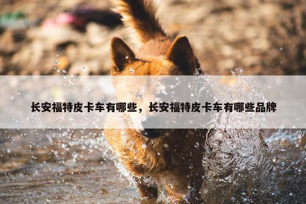 长安福特皮卡车有哪些，长安福特皮卡车有哪些品牌