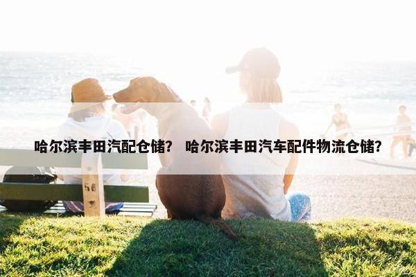 哈尔滨丰田汽配仓储？ 哈尔滨丰田汽车配件物流仓储？