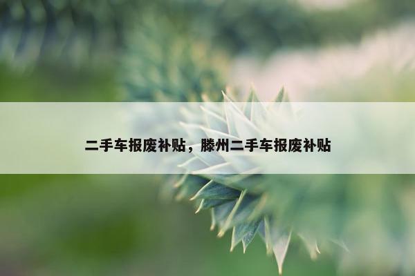 二手车报废补贴，滕州二手车报废补贴