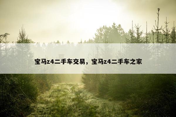 宝马z4二手车交易，宝马z4二手车之家