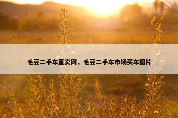 毛豆二手车直卖网，毛豆二手车市场买车图片