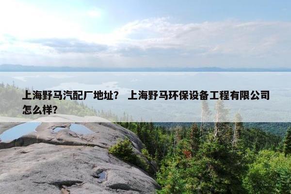 上海野马汽配厂地址？ 上海野马环保设备工程有限公司怎么样？