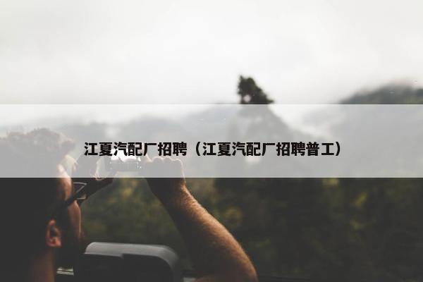 江夏汽配厂招聘（江夏汽配厂招聘普工）