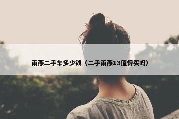 雨燕二手车多少钱（二手雨燕13值得买吗）