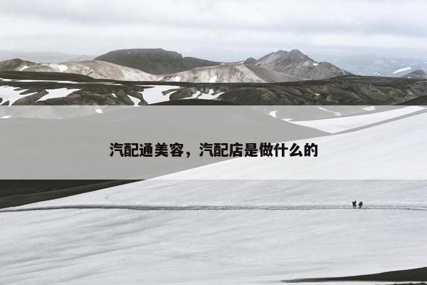汽配通美容，汽配店是做什么的