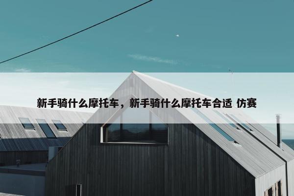 新手骑什么摩托车，新手骑什么摩托车合适 仿赛