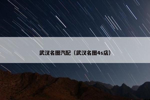 武汉名图汽配（武汉名图4s店）