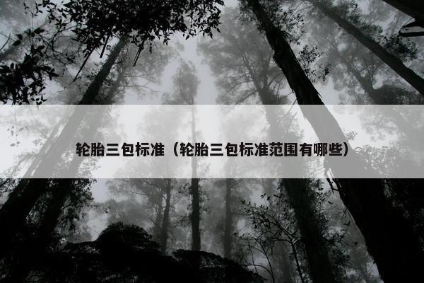 轮胎三包标准（轮胎三包标准范围有哪些）