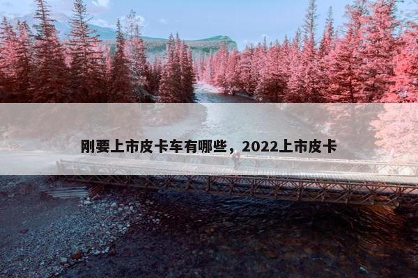 刚要上市皮卡车有哪些，2022上市皮卡