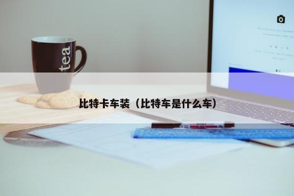 比特卡车装（比特车是什么车）