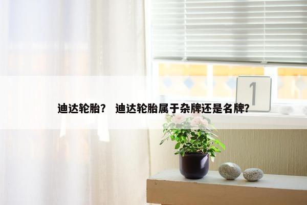 迪达轮胎？ 迪达轮胎属于杂牌还是名牌？