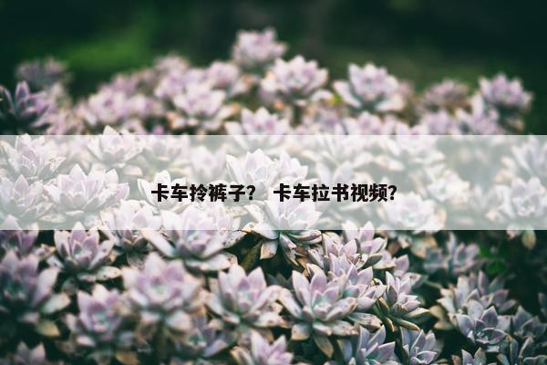 卡车拎裤子？ 卡车拉书视频？