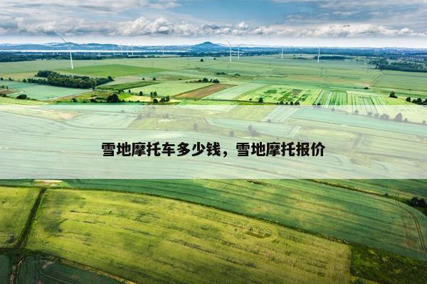 雪地摩托车多少钱，雪地摩托报价