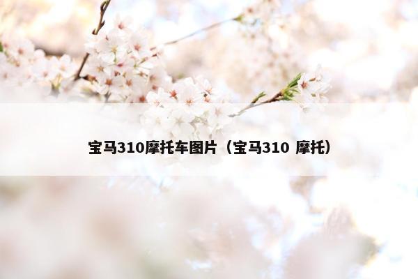 宝马310摩托车图片（宝马310 摩托）
