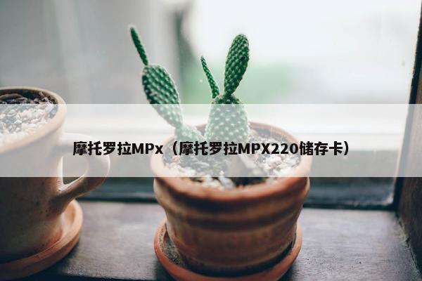 摩托罗拉MPx（摩托罗拉MPX220储存卡）