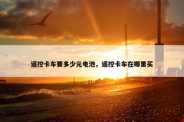 遥控卡车要多少元电池，遥控卡车在哪里买