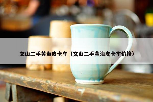 文山二手黄海皮卡车（文山二手黄海皮卡车价格）