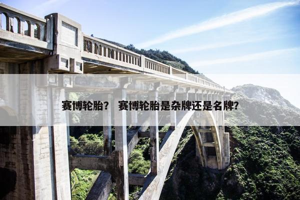 赛博轮胎？ 赛博轮胎是杂牌还是名牌？