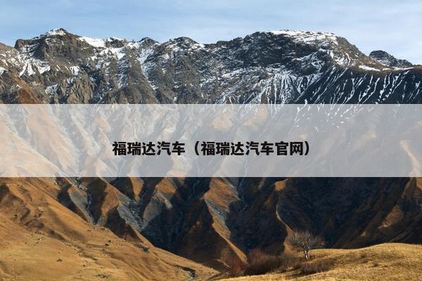 福瑞达汽车（福瑞达汽车官网）