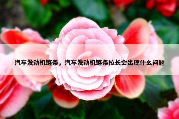 汽车发动机链条，汽车发动机链条拉长会出现什么问题
