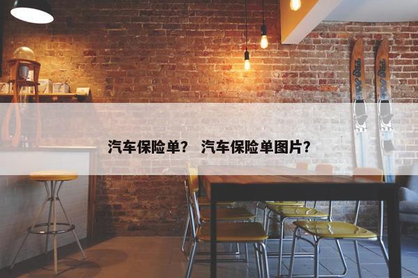 汽车保险单？ 汽车保险单图片？