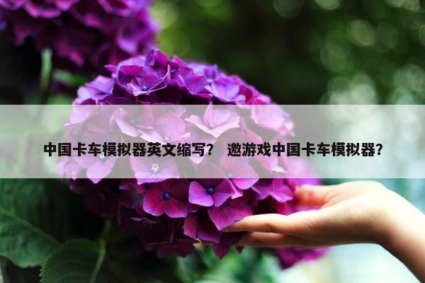 中国卡车模拟器英文缩写？ 邀游戏中国卡车模拟器？