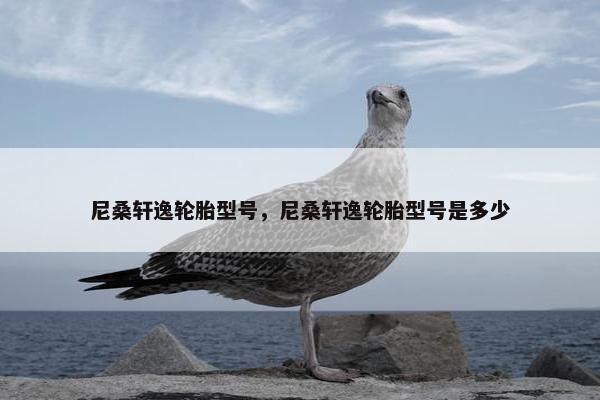 尼桑轩逸轮胎型号，尼桑轩逸轮胎型号是多少
