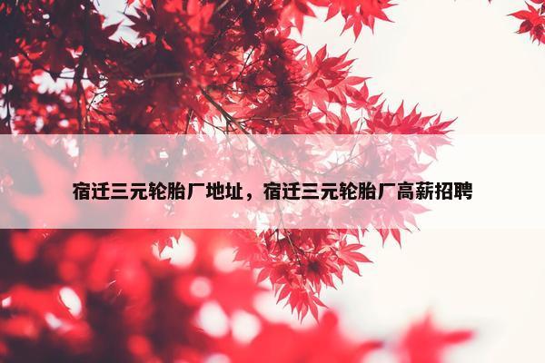 宿迁三元轮胎厂地址，宿迁三元轮胎厂高薪招聘