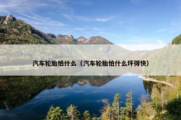 汽车轮胎怕什么（汽车轮胎怕什么坏得快）