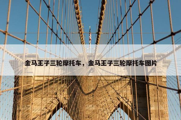 金马王子三轮摩托车，金马王子三轮摩托车图片